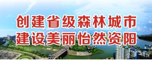 www.我爱草逼创建省级森林城市 建设美丽怡然资阳